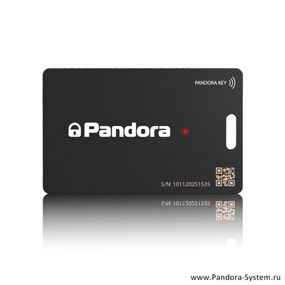 Карточка-метка Pandora Слим